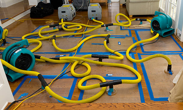 Professional Sewage Cleanup technician working in Wellington, CO